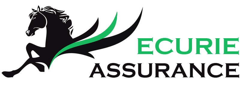 Ecurie Assurance Logo